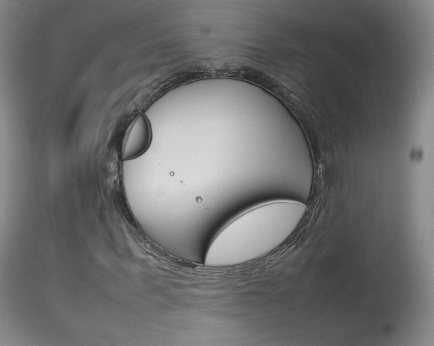 X0000113910963200909241302