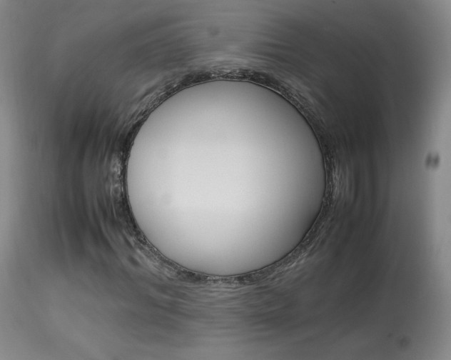 X0000113910964200909241302