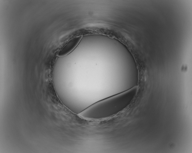 X0000113910965200909241302