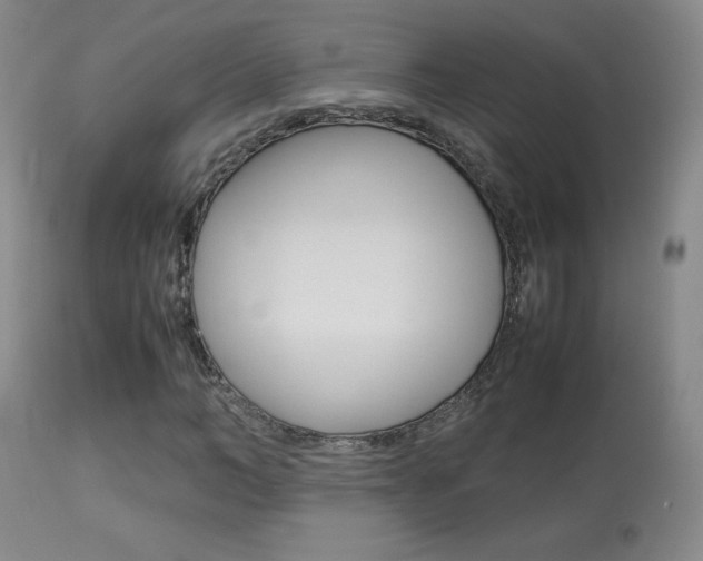 X0000113910966200909241302