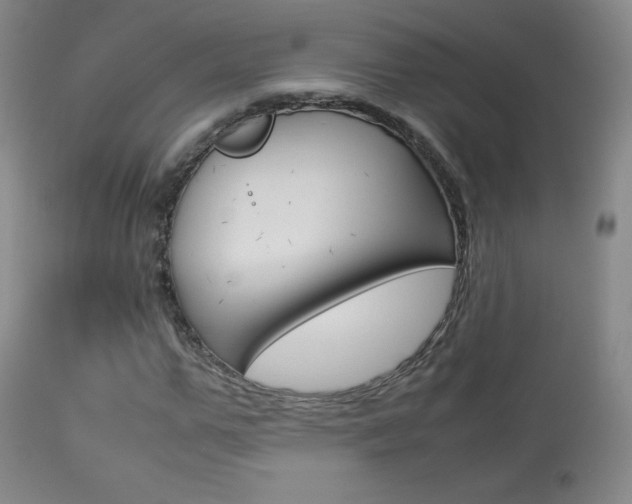 X0000113910967200909241302