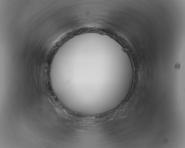 X0000113910968200909241302