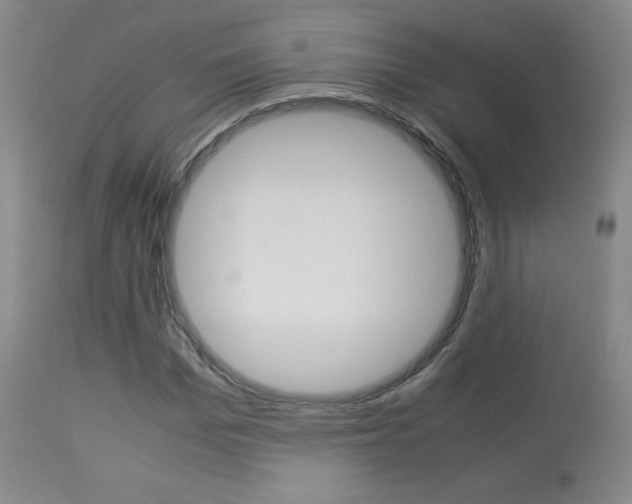 X0000113910969200909241302