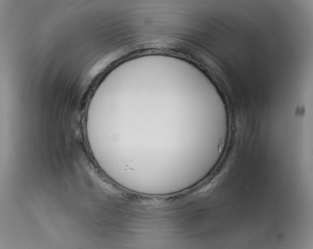X0000113910970200909241302