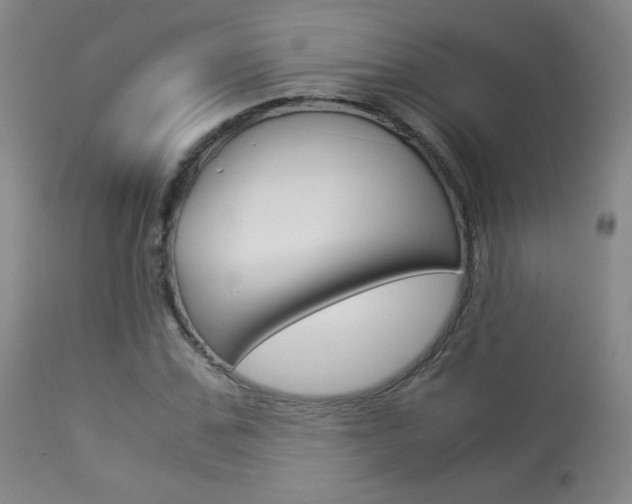 X0000113910971200909241302