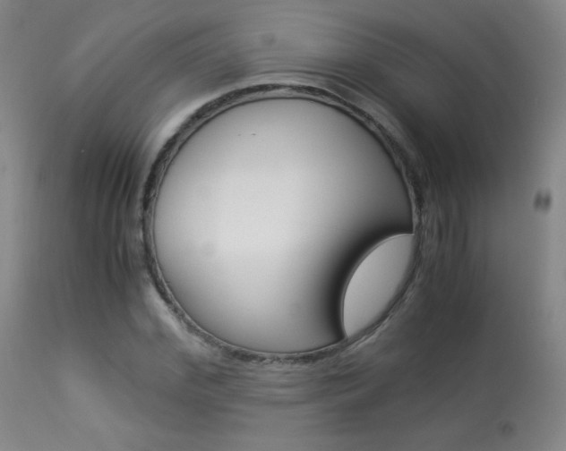 X0000113910972200909241302