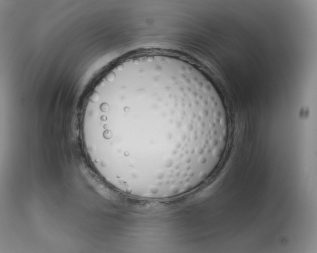 X0000113910974200909241301