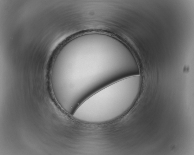 X0000113910975200909241301