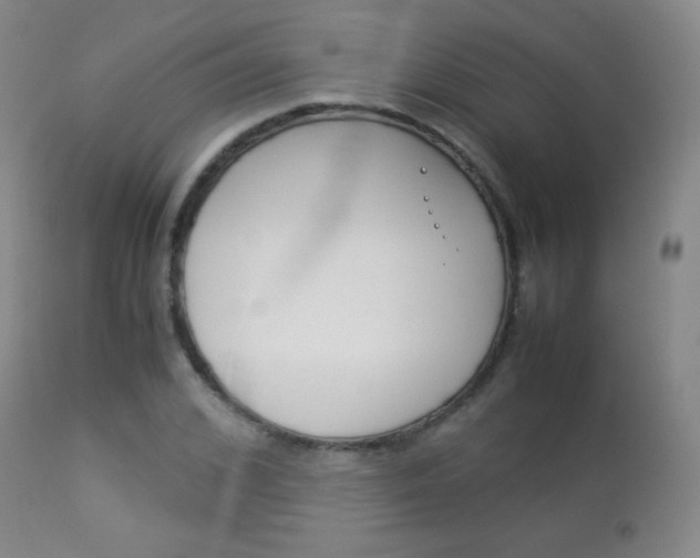 X0000113910976200909241301