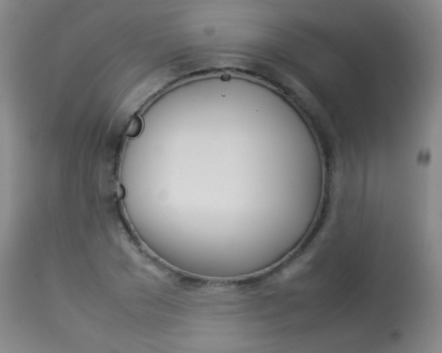 X0000113910977200909241301
