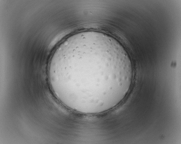 X0000113910978200909241301