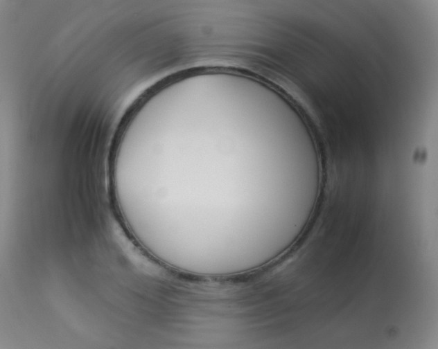 X0000113910980200909241301