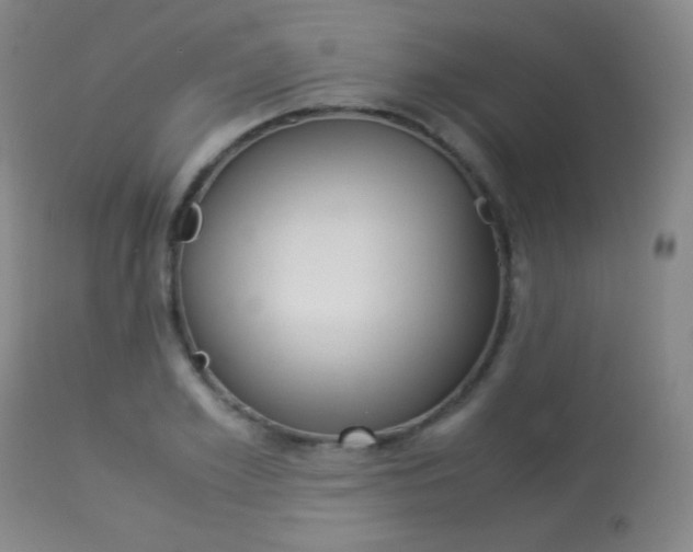 X0000113910981200909241301