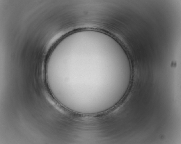 X0000113910982200909241301