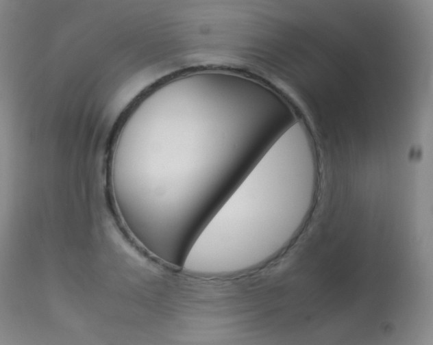 X0000113910983200909241301