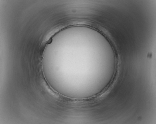 X0000113910985200909241301