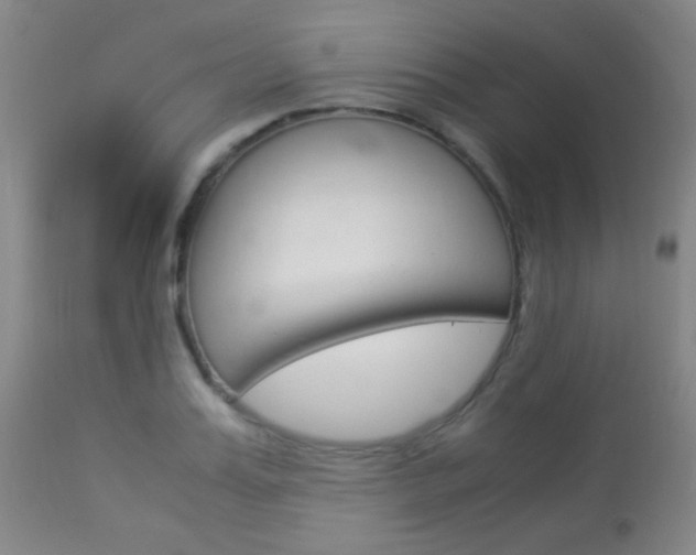 X0000113910987200909241301