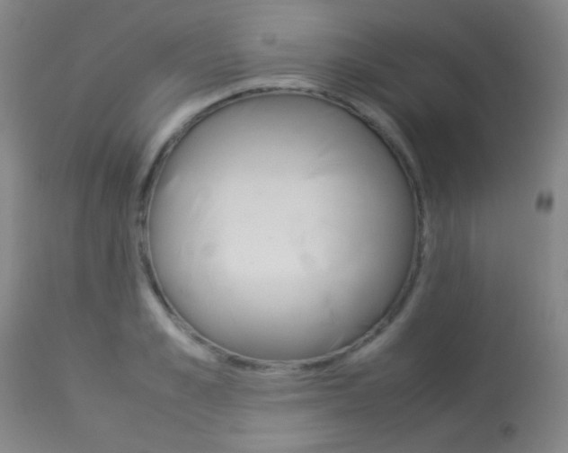 X0000113910989200909241301
