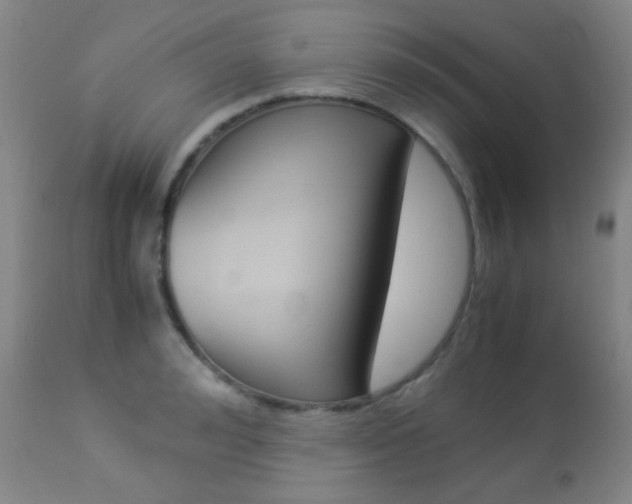 X0000113910992200909241301
