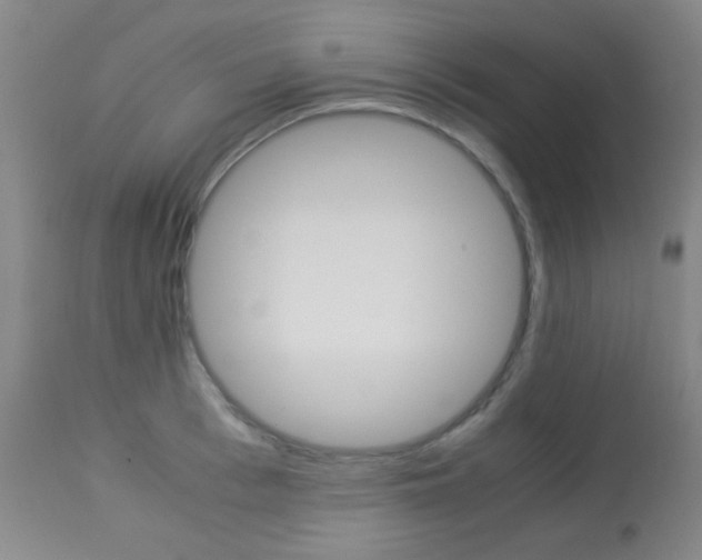 X0000113910993200909241301