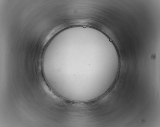 X0000113910994200909241301