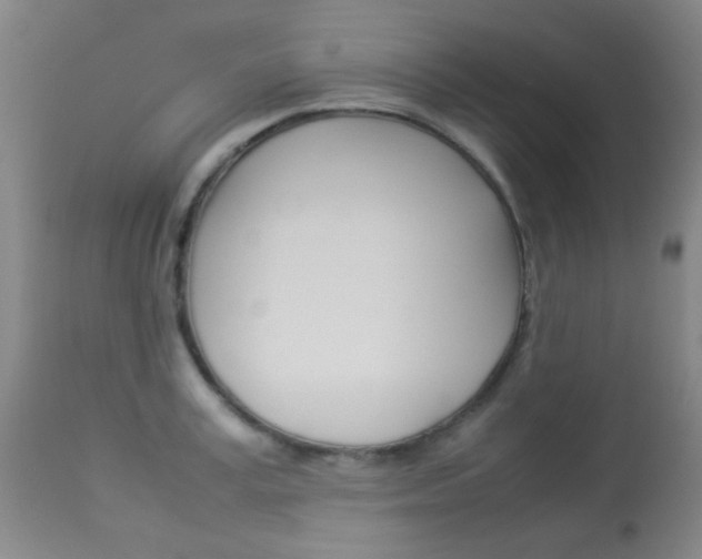 X0000113910995200909241301