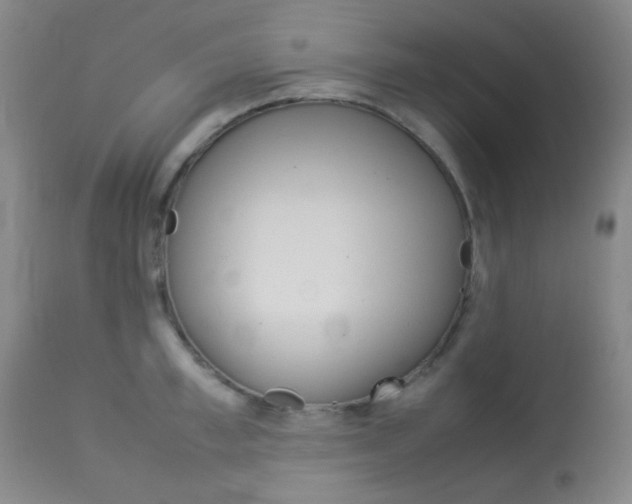 X0000113910997200909241301