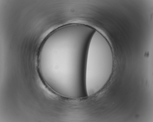 X0000113910999200909241301