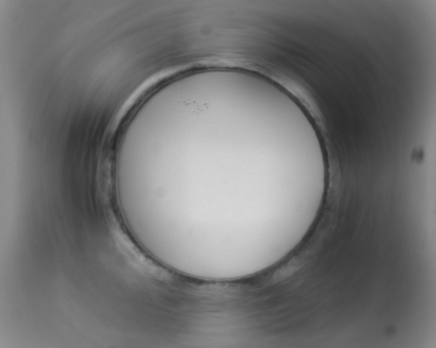 X0000113911000200909241301