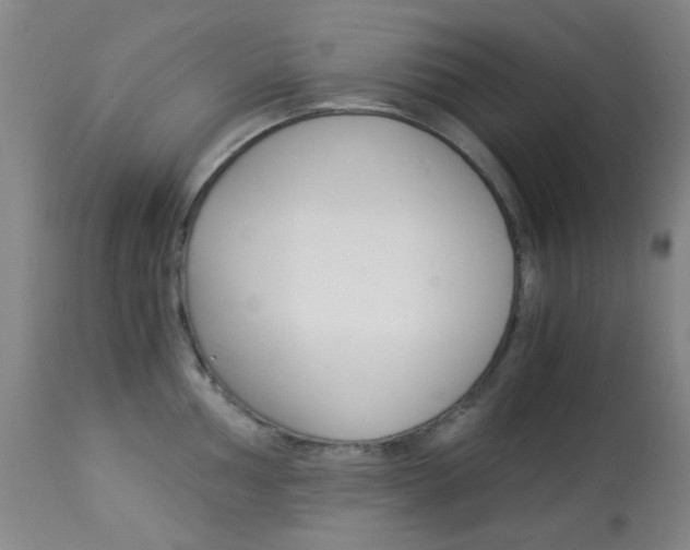 X0000113911002200909241301