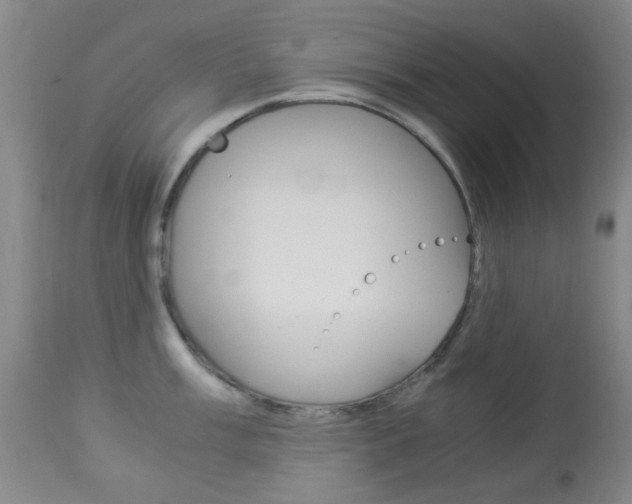 X0000113911003200909241301