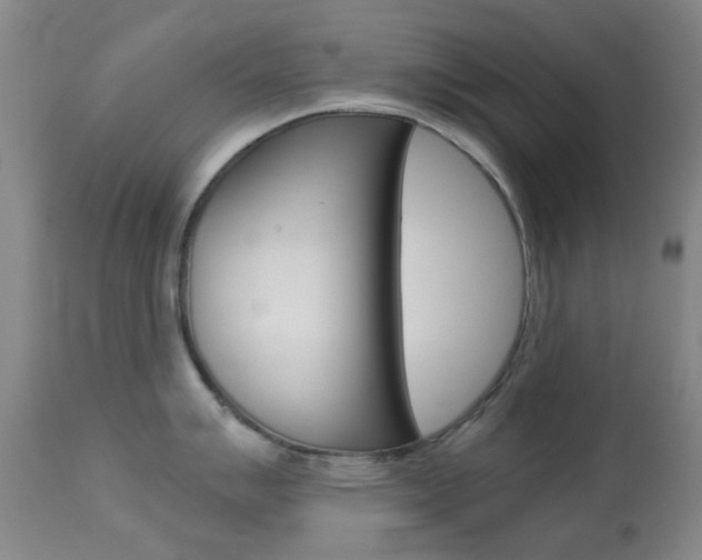 X0000113911007200909241301