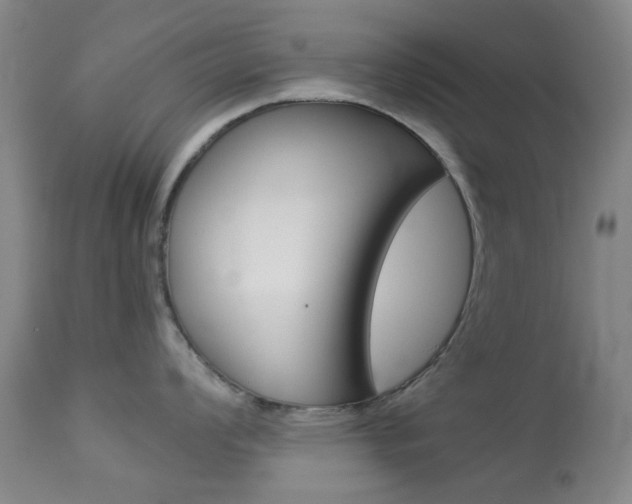 X0000113911008200909241301