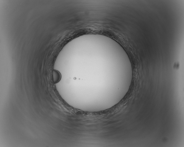 X0000113911009200909241300