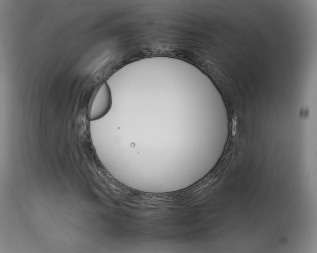 X0000113911011200909241300