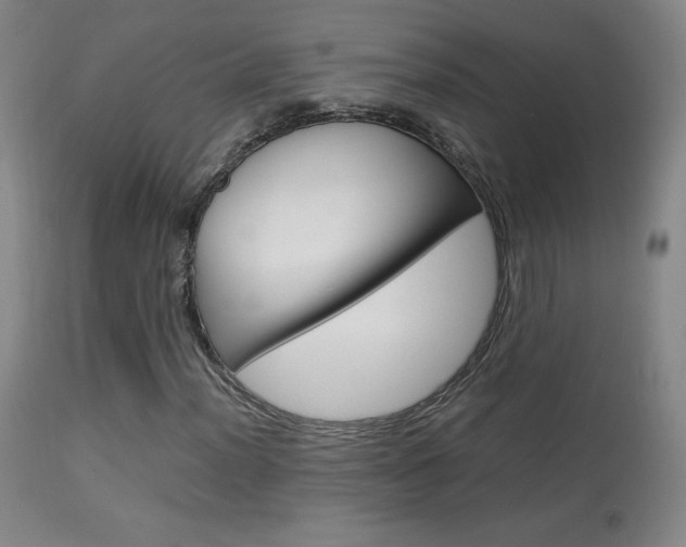 X0000113911012200909241300