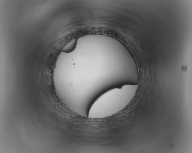 X0000113911013200909241300