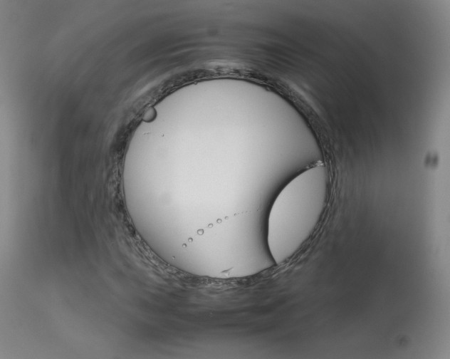 X0000113911015200909241300