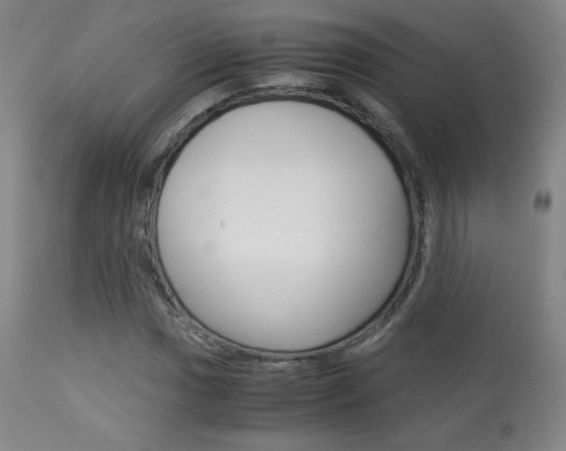 X0000113911017200909241300