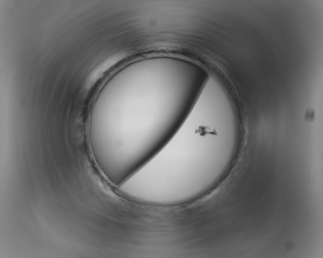 X0000113911018200909241300