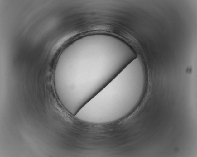 X0000113911019200909241300