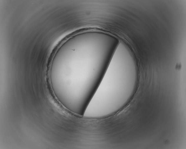 X0000113911020200909241300