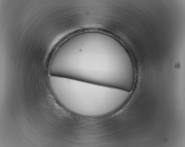 X0000113911022200909241300