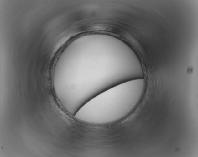 X0000113911023200909241300