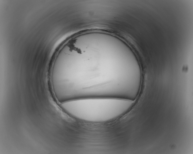 X0000113911024200909241300