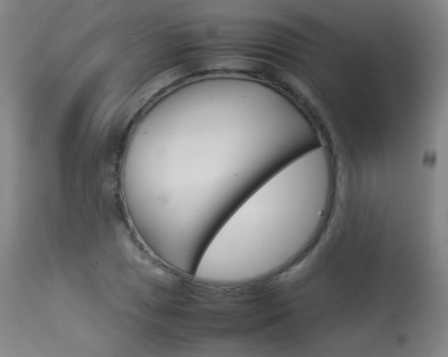 X0000113911025200909241300