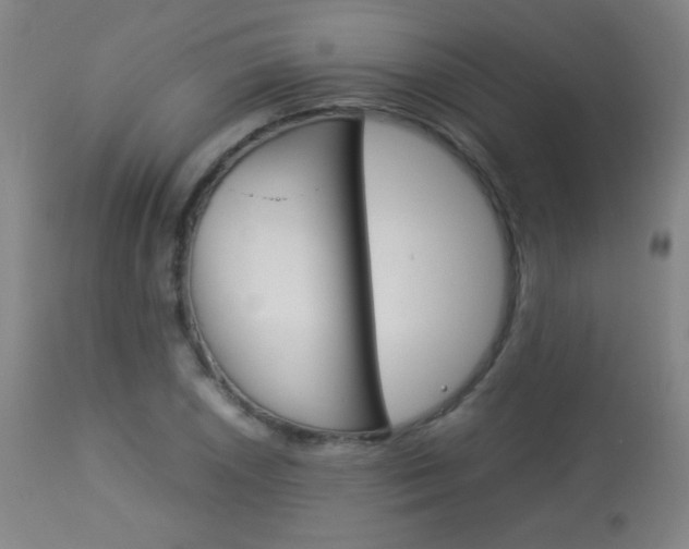 X0000113911026200909241300
