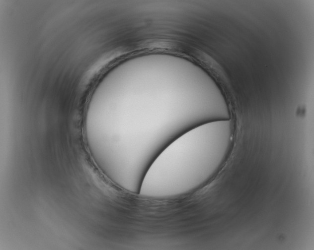 X0000113911027200909241300