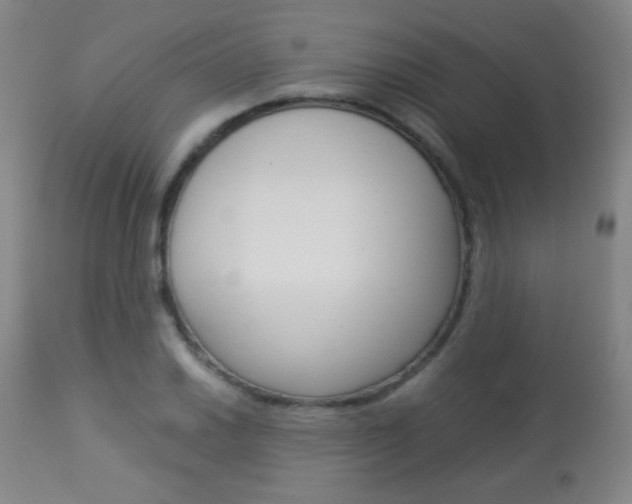 X0000113911030200909241300