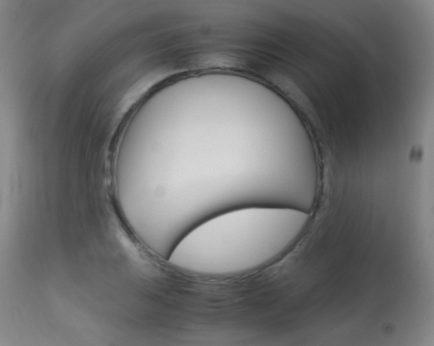 X0000113911031200909241300